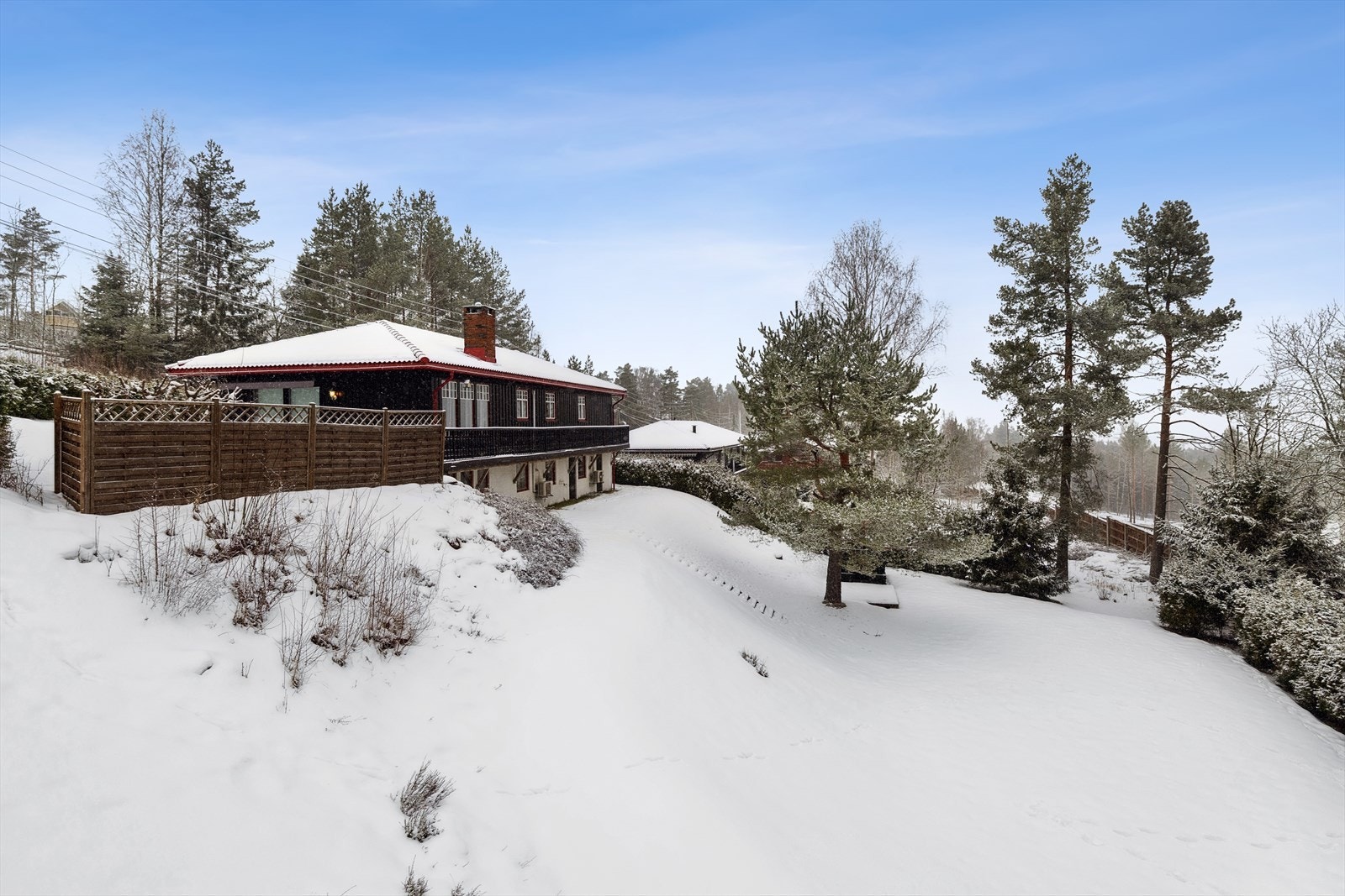 Hovedbilde Galleribilde