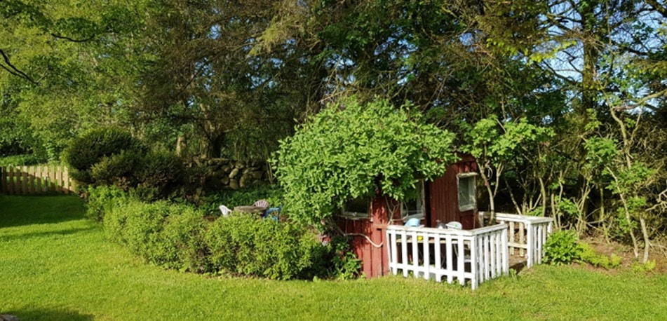 Glimt fra hagen (privat foto). Galleribilde