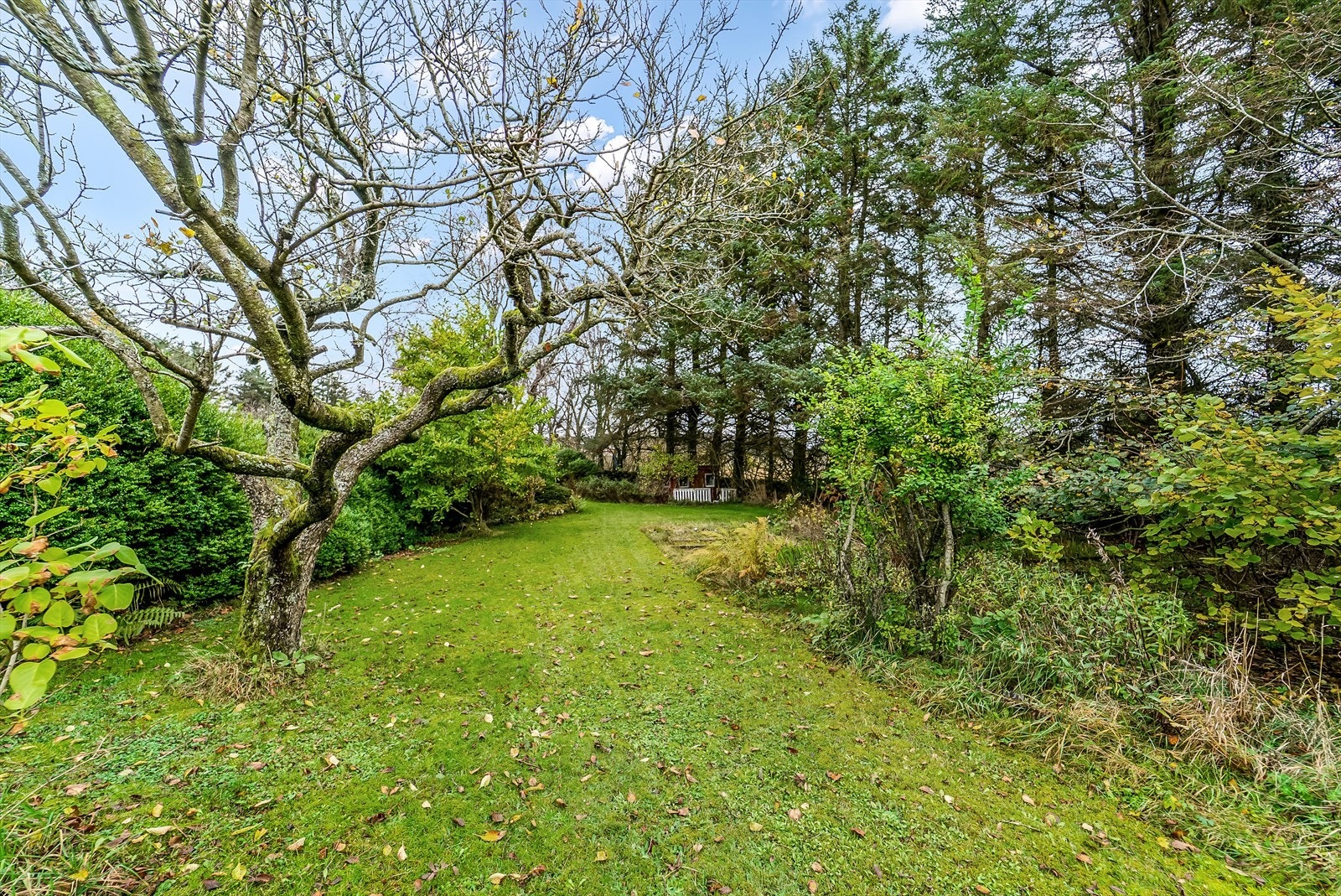 Eier har dyrket poteter og grønnsaker i hagen. Galleribilde