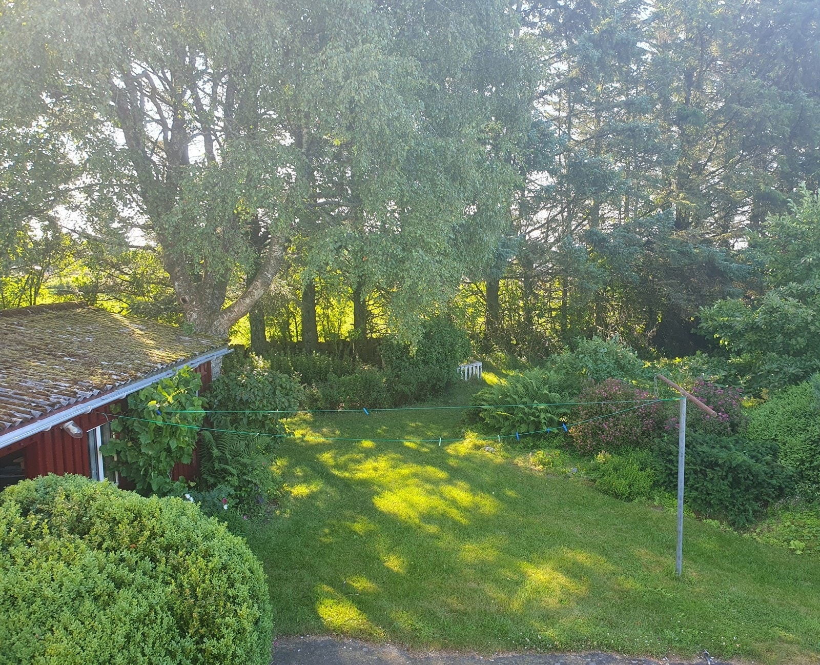 Fra altanen (privat foto) Galleribilde