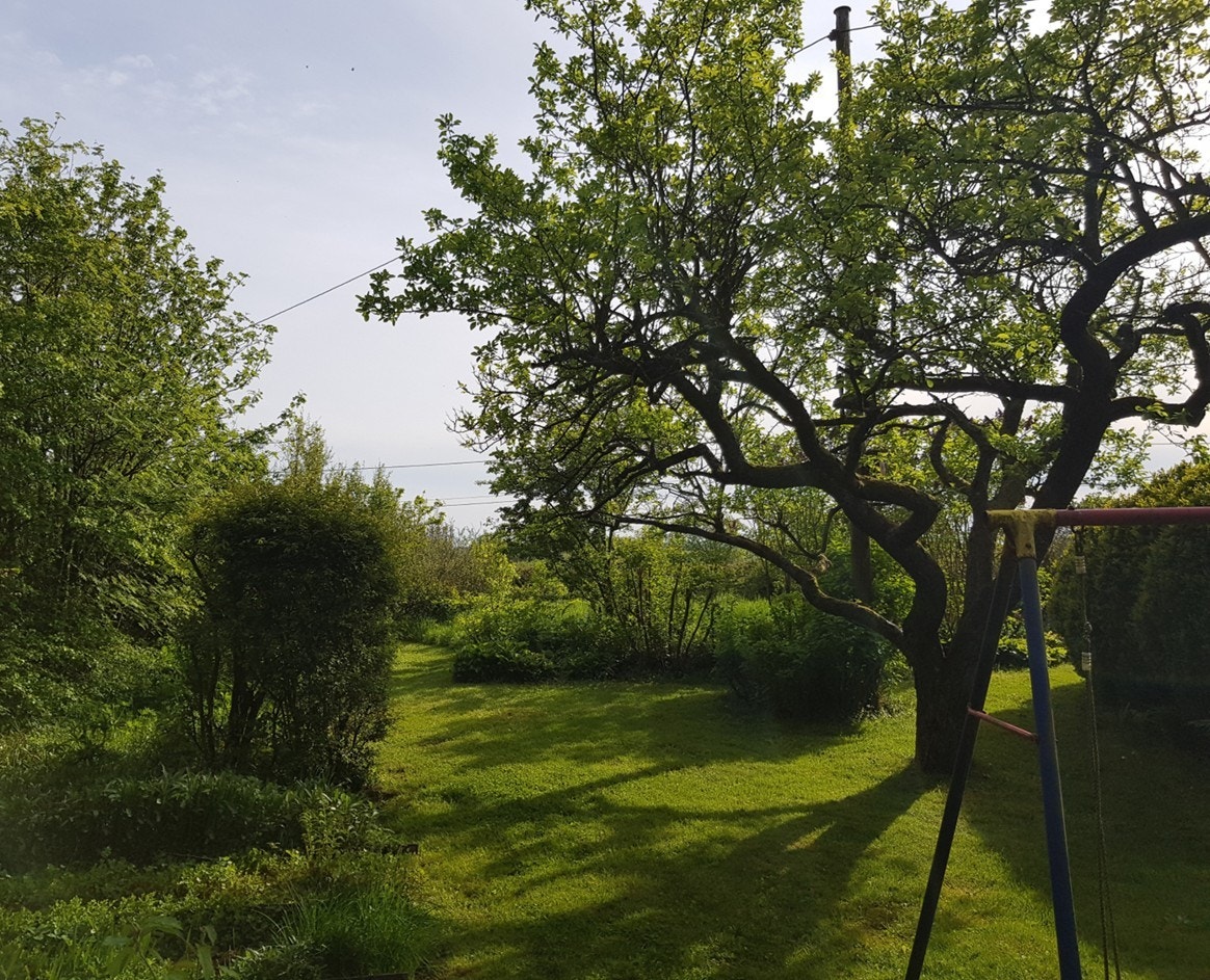 Glimt fra hagen (privat foto). Galleribilde