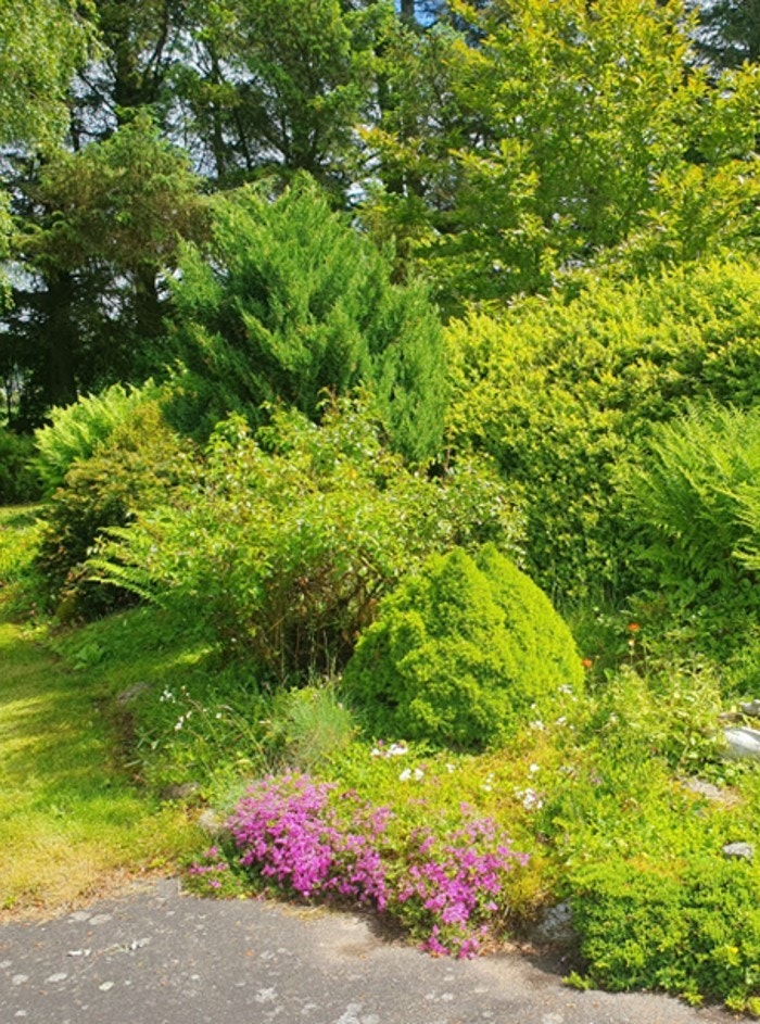 Glimt fra hagen (privat foto). Galleribilde