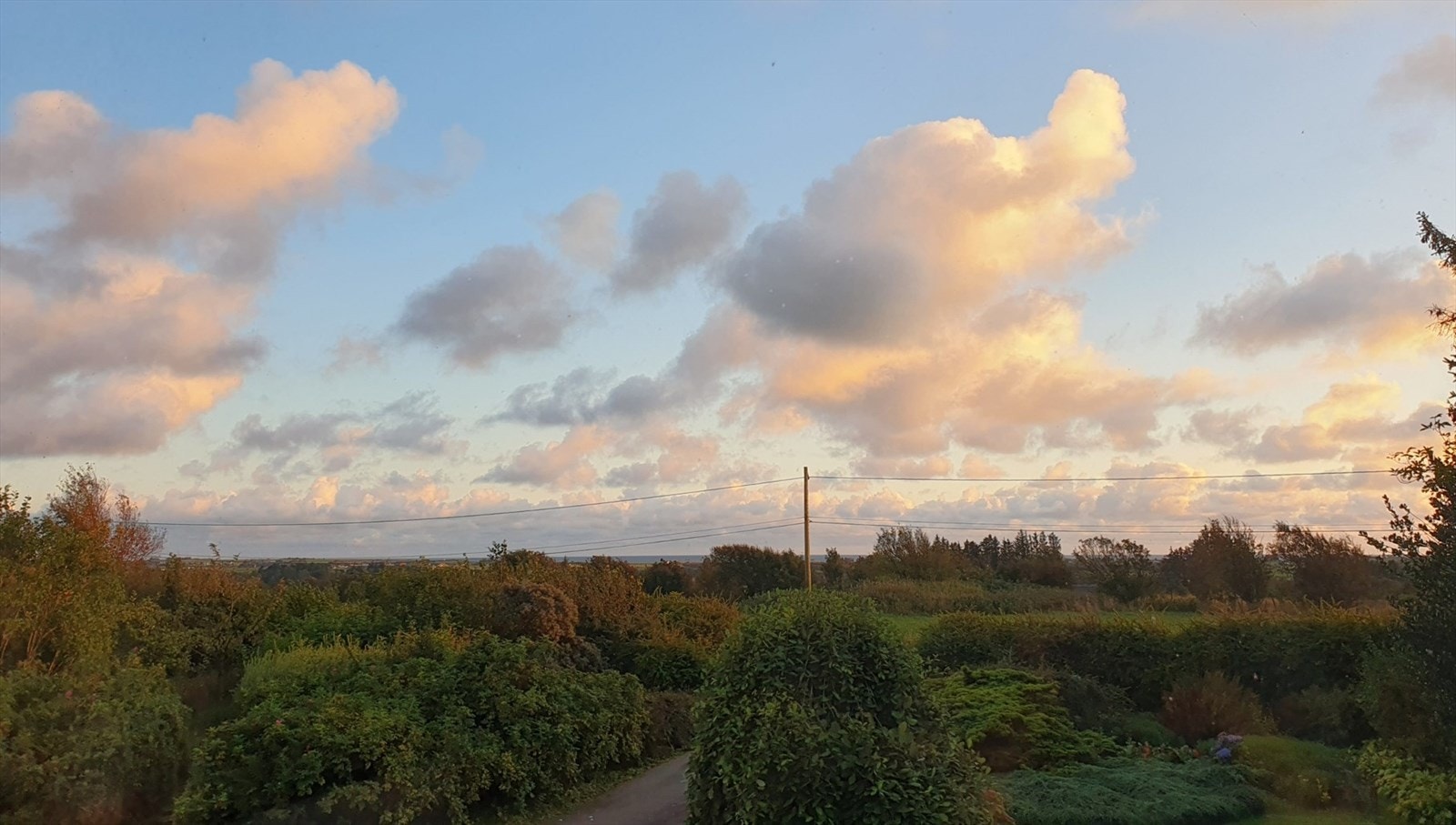 Utsikt fra stue vindu. (privat foto). Galleribilde