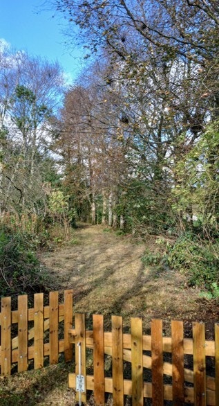 Sti rundt tomta bak huset (privat foto). Galleribilde