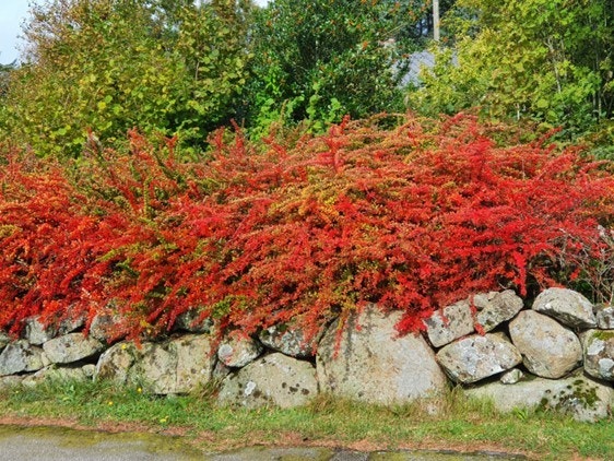 Fra veien (Privat foto). Galleribilde