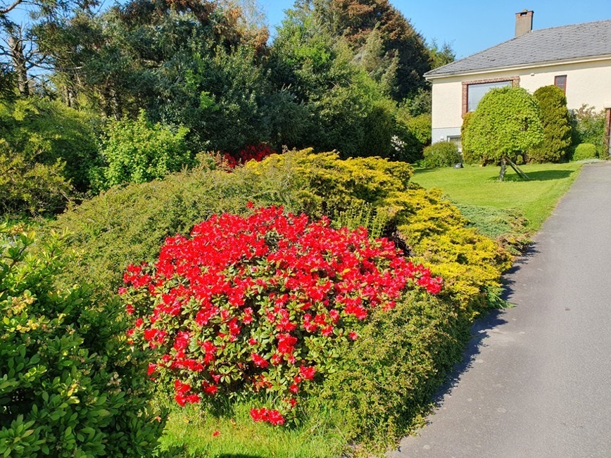 Innkjørsel Solvang (privat foto). Galleribilde