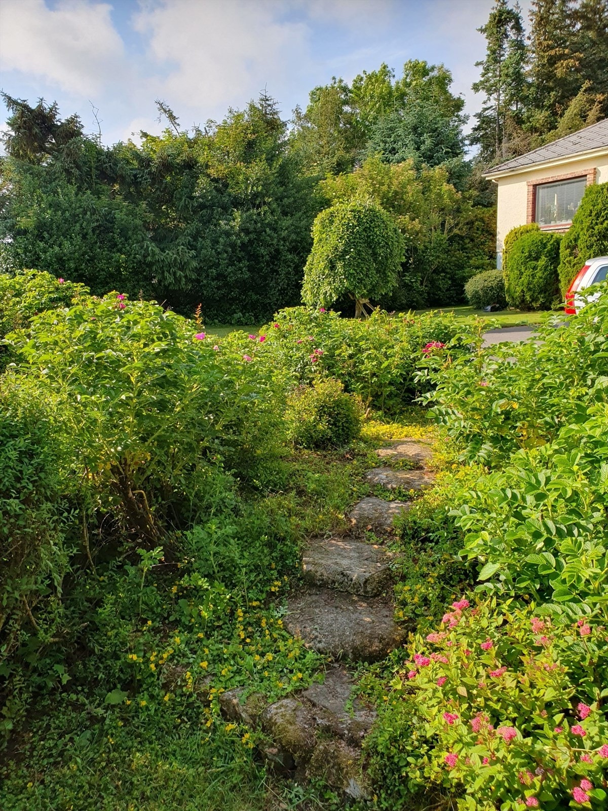 Glimt fra hagen (Privat foto). Galleribilde