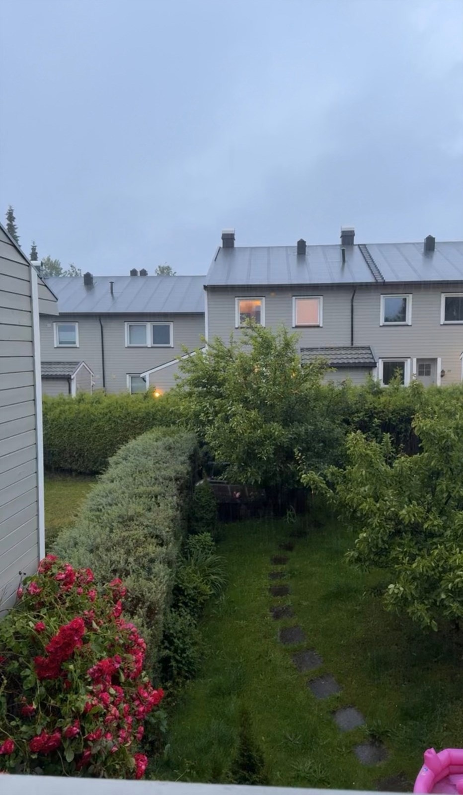 Selgers sommerbilde, eple- og plommetre i egen hage. Galleribilde