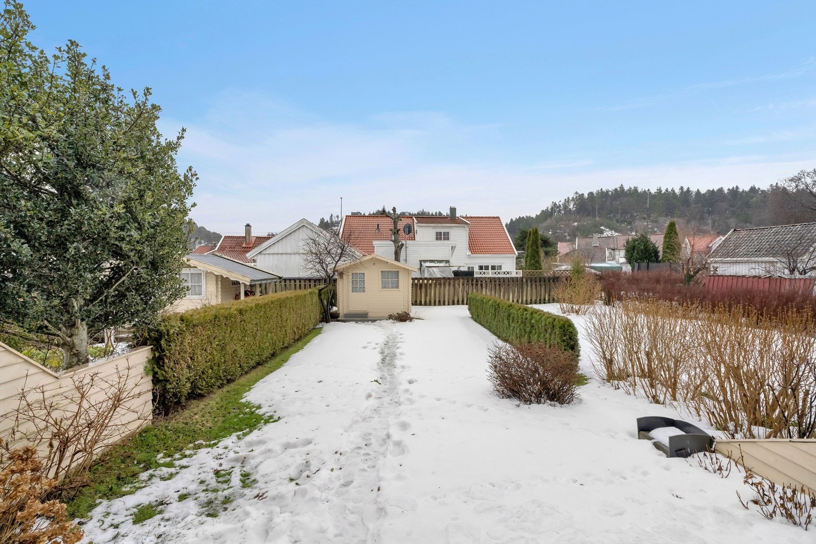 Uteområdet fremstår pent med plen, hekk og beplantninger Galleribilde