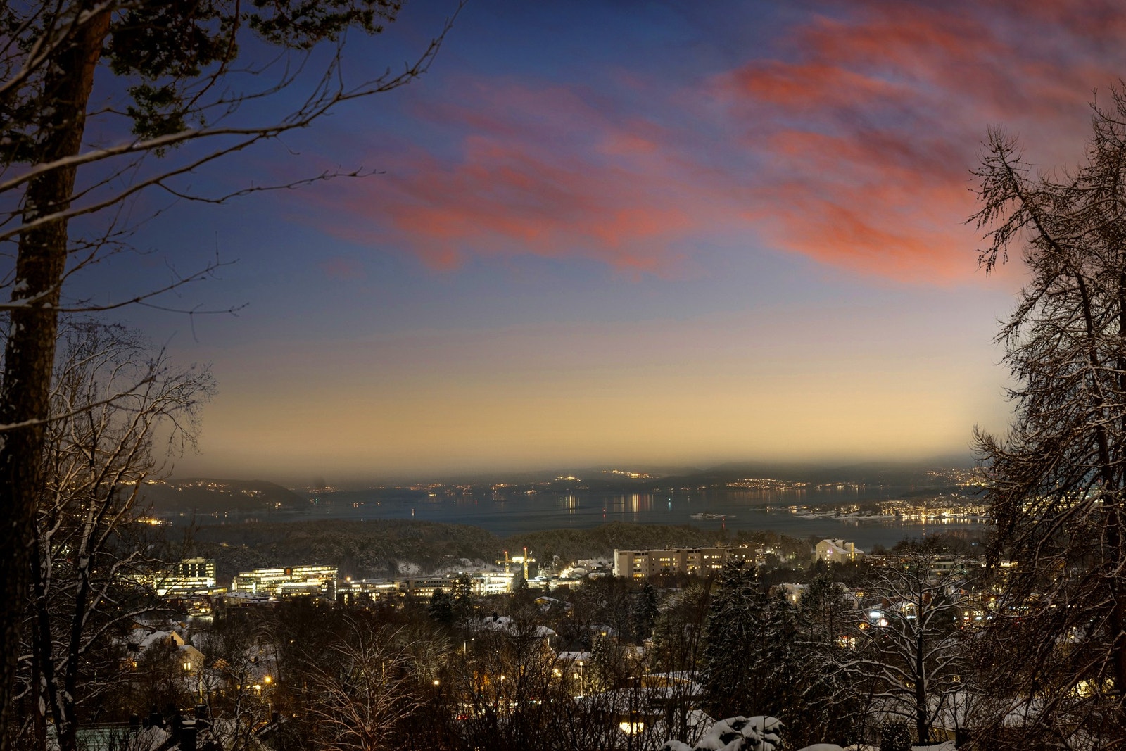 Utsikt mot Oslofjorden. Galleribilde