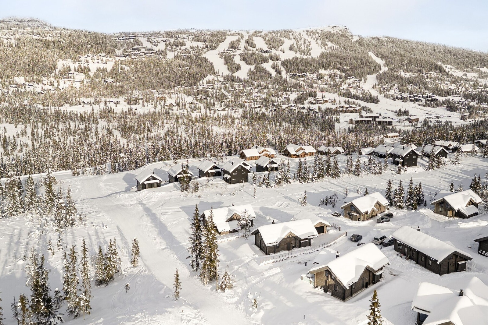 Ta kontakt for visning! Galleribilde