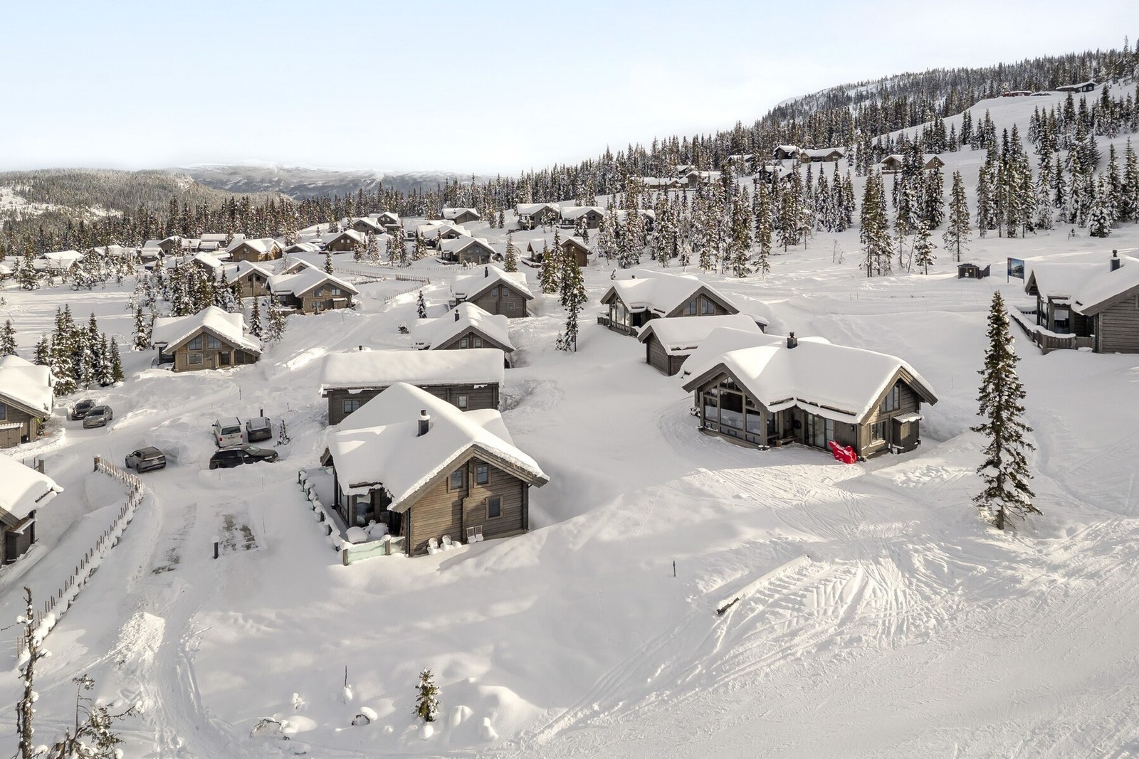 Ski-inn/ut! Galleribilde