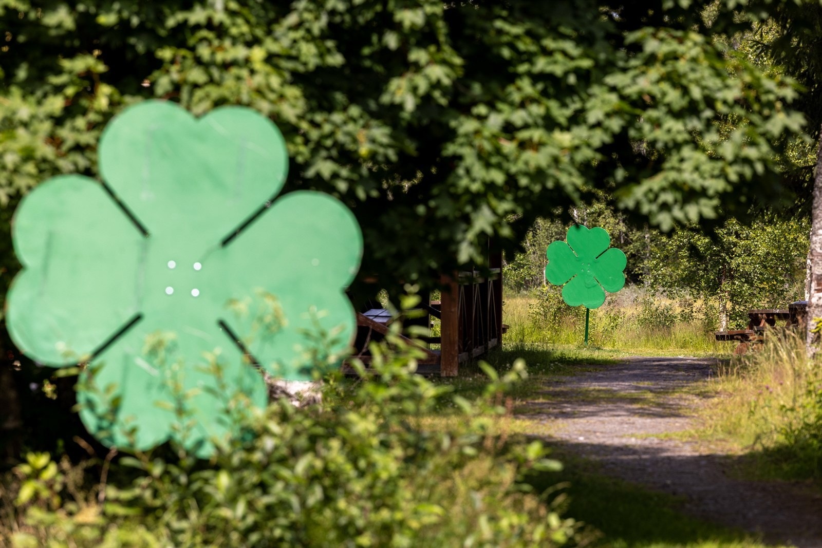 Her får du nærhet til naturen med miljøstier og turveier som inviterer til både rolige spaserturer og aktive friluftsaktiviteter. Galleribilde