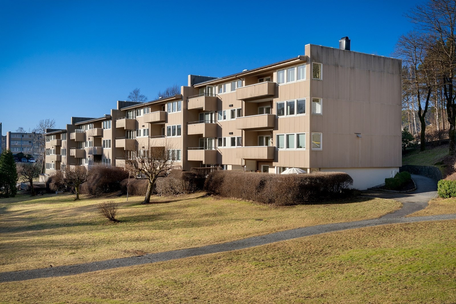 - Nydelige turaltermativer i nærområdet som blant annet Kanadaskogen og et av Berges syv fjell, Løvstakken - Galleribilde