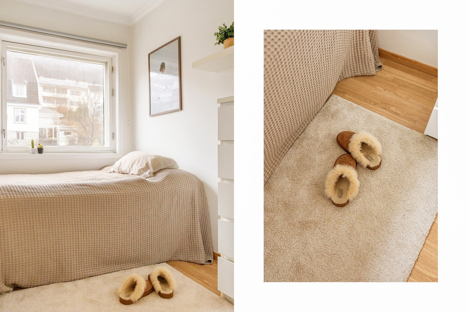 Perfekt å leie ut til en studiekamerat? Galleribilde