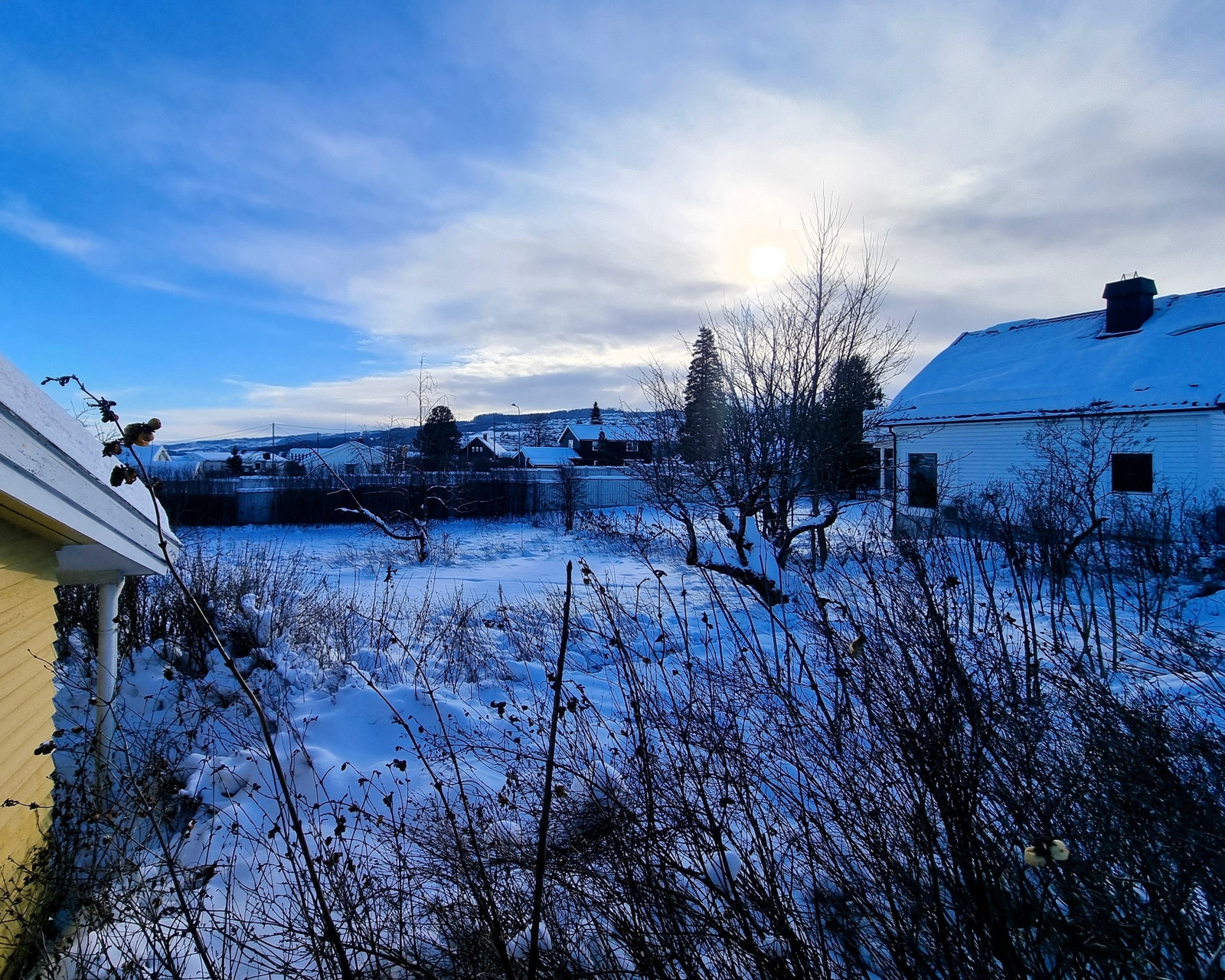 Bilde fra veien ovenfor tomta Galleribilde