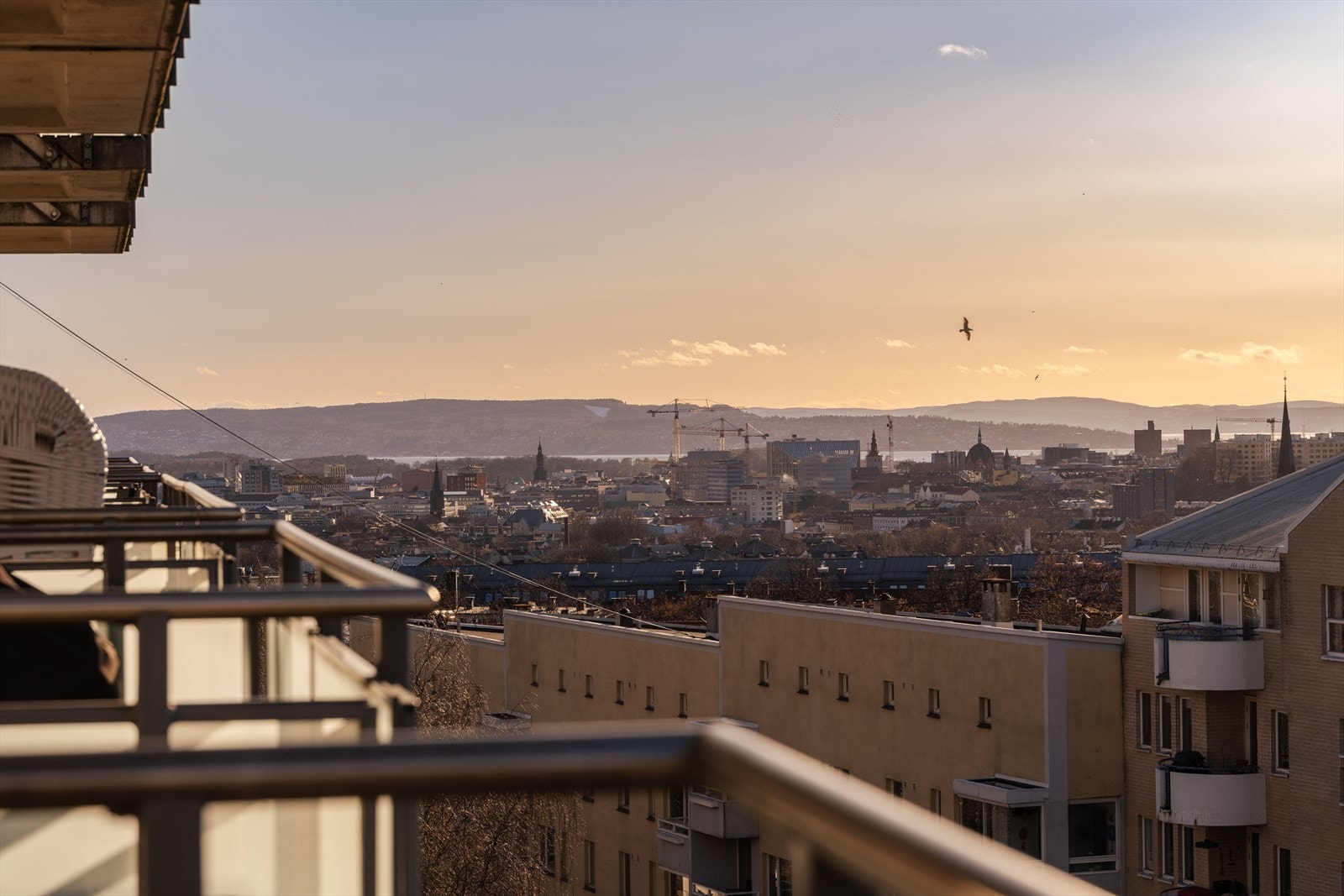 En fantastisk utsikt mot fjorden. Galleribilde