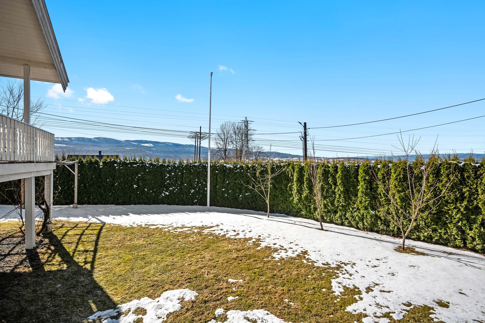 Tomten er skjermet med hekk som gir lite innsyn Galleribilde