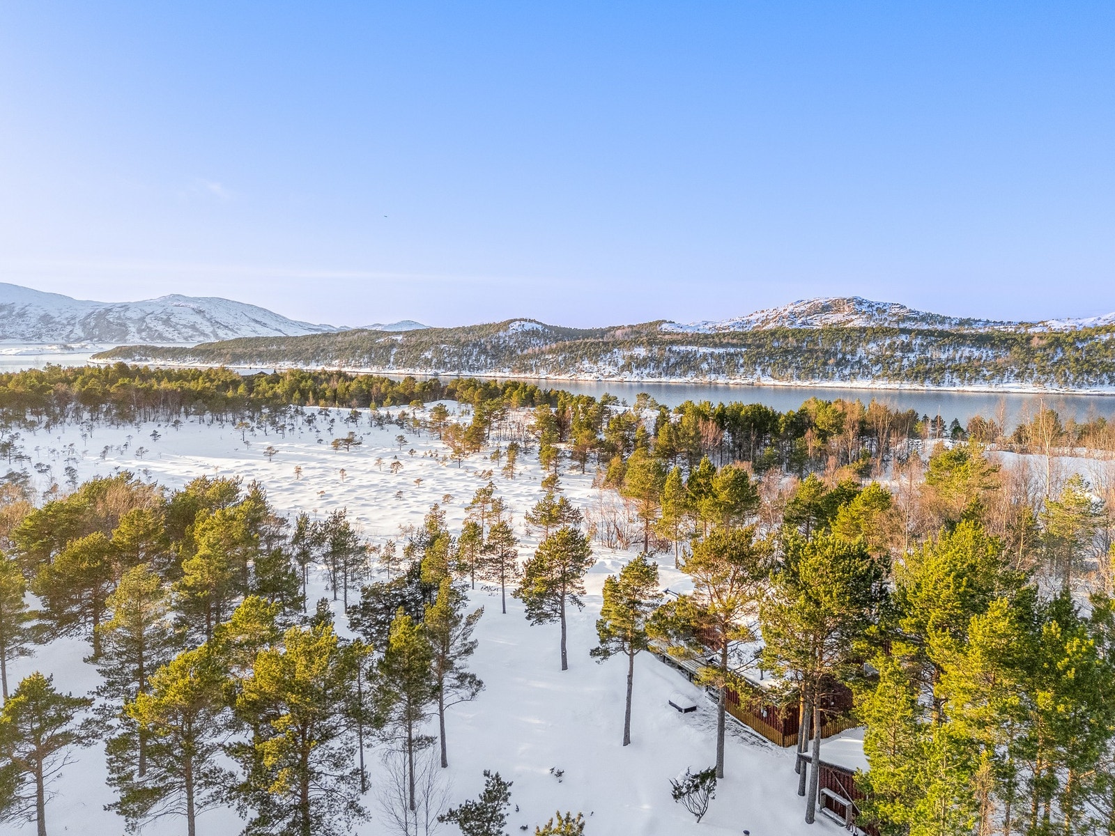 Fin gangavstand ned til sjøen med gode fiskemuligheter. Galleribilde