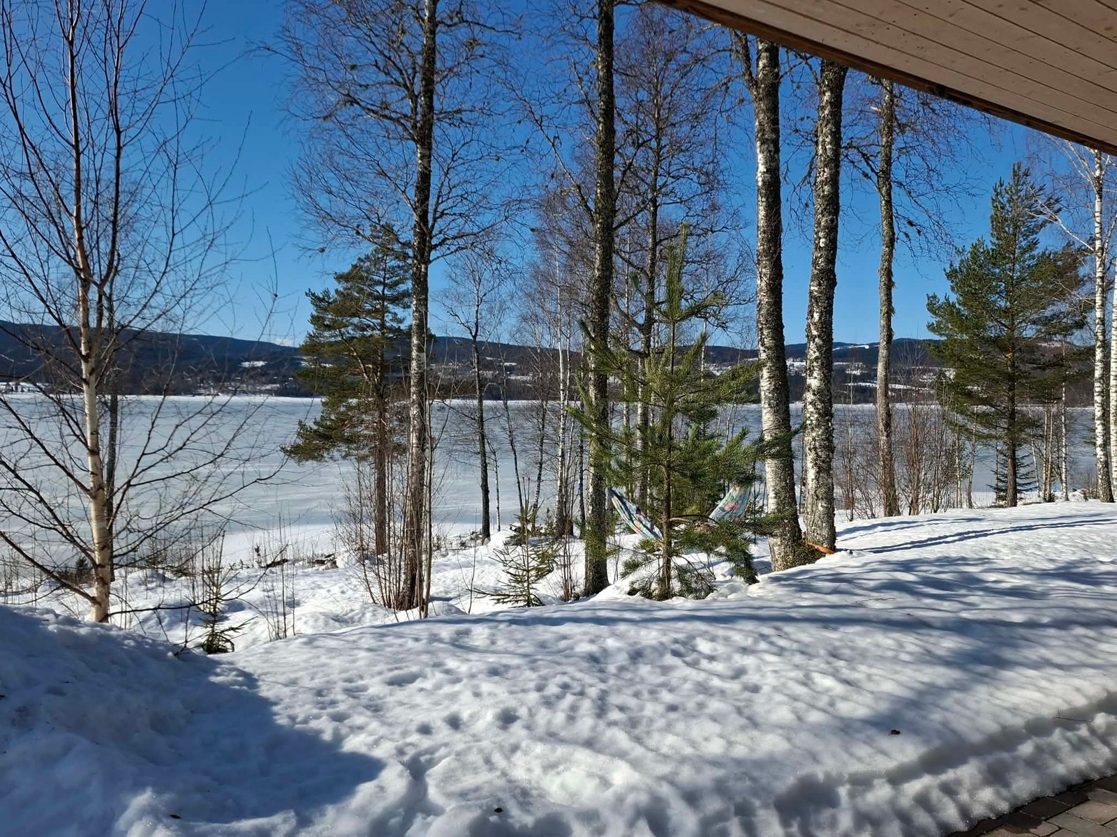 Terrassen vender mot vest, strandlinja og sjøen Galleribilde