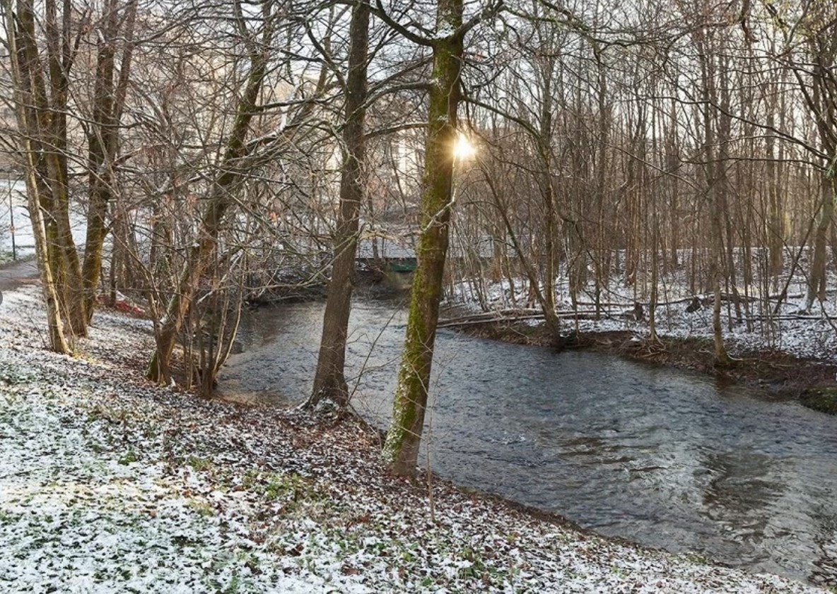 Nærområde Galleribilde