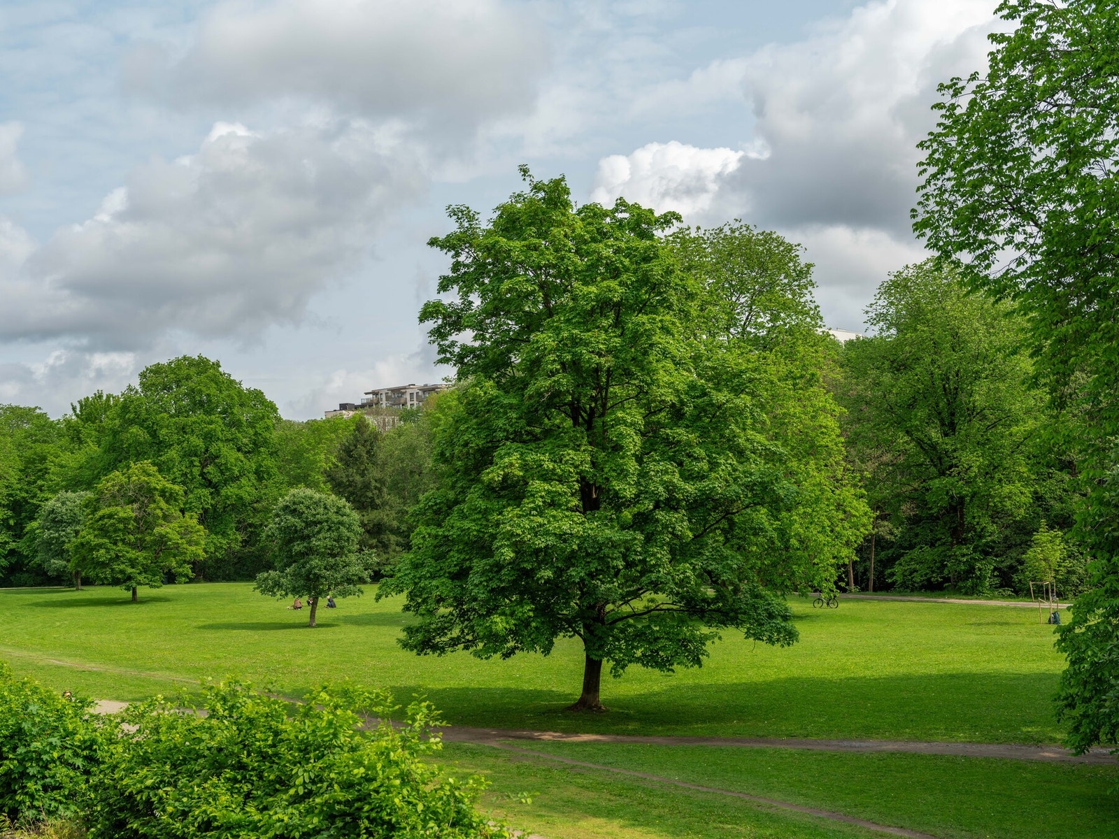 Rett utenfor blokken finner du altså denne herlige parken, som er utrolig deilig å ha lett tilgjengelig i hverdagen. Galleribilde