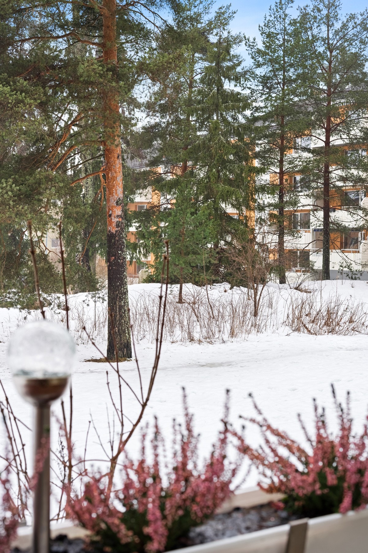 Fra balkongen er det utsyn til borettslagets naturtomt. Galleribilde