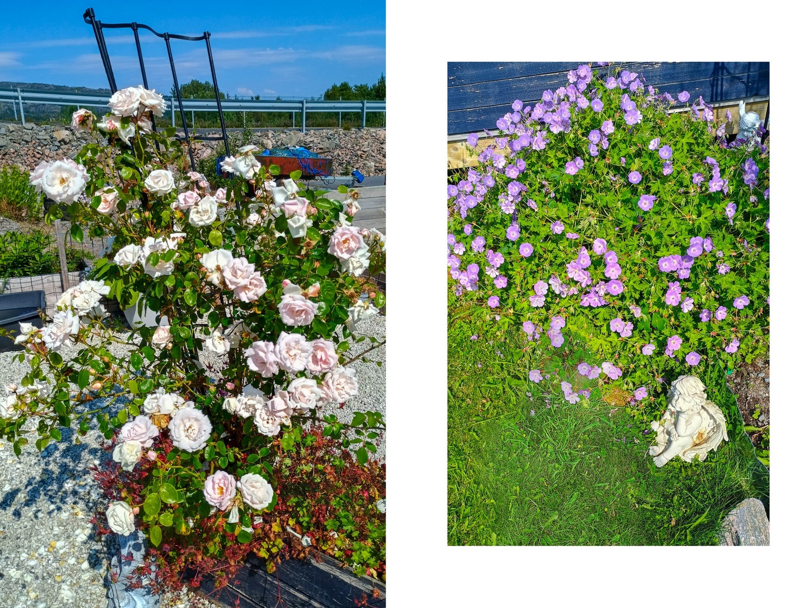 - Selgers egne bilder - Galleribilde