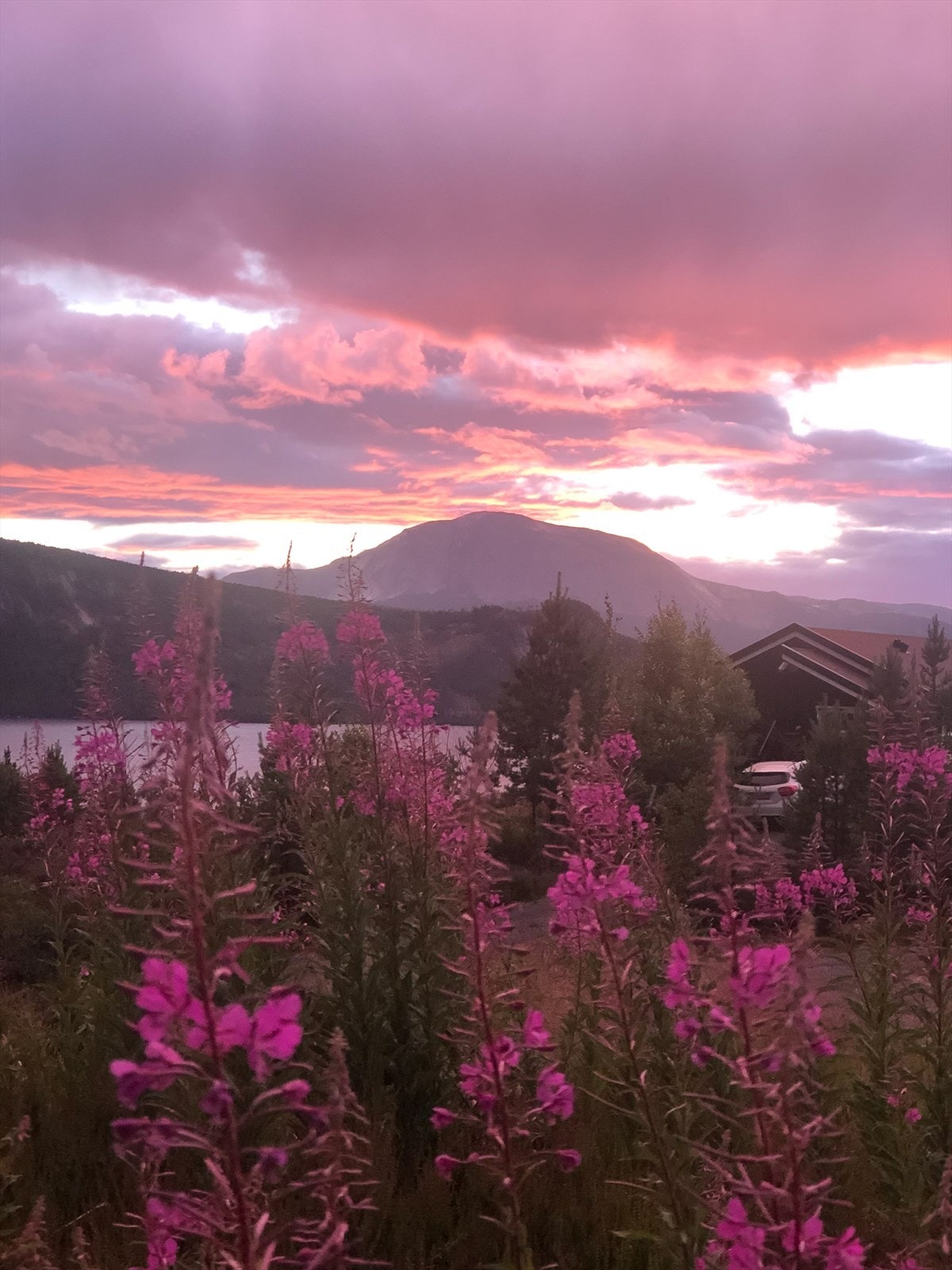 Solnedgangen gir en fargerik himmel over fjellene og vannet. Galleribilde
