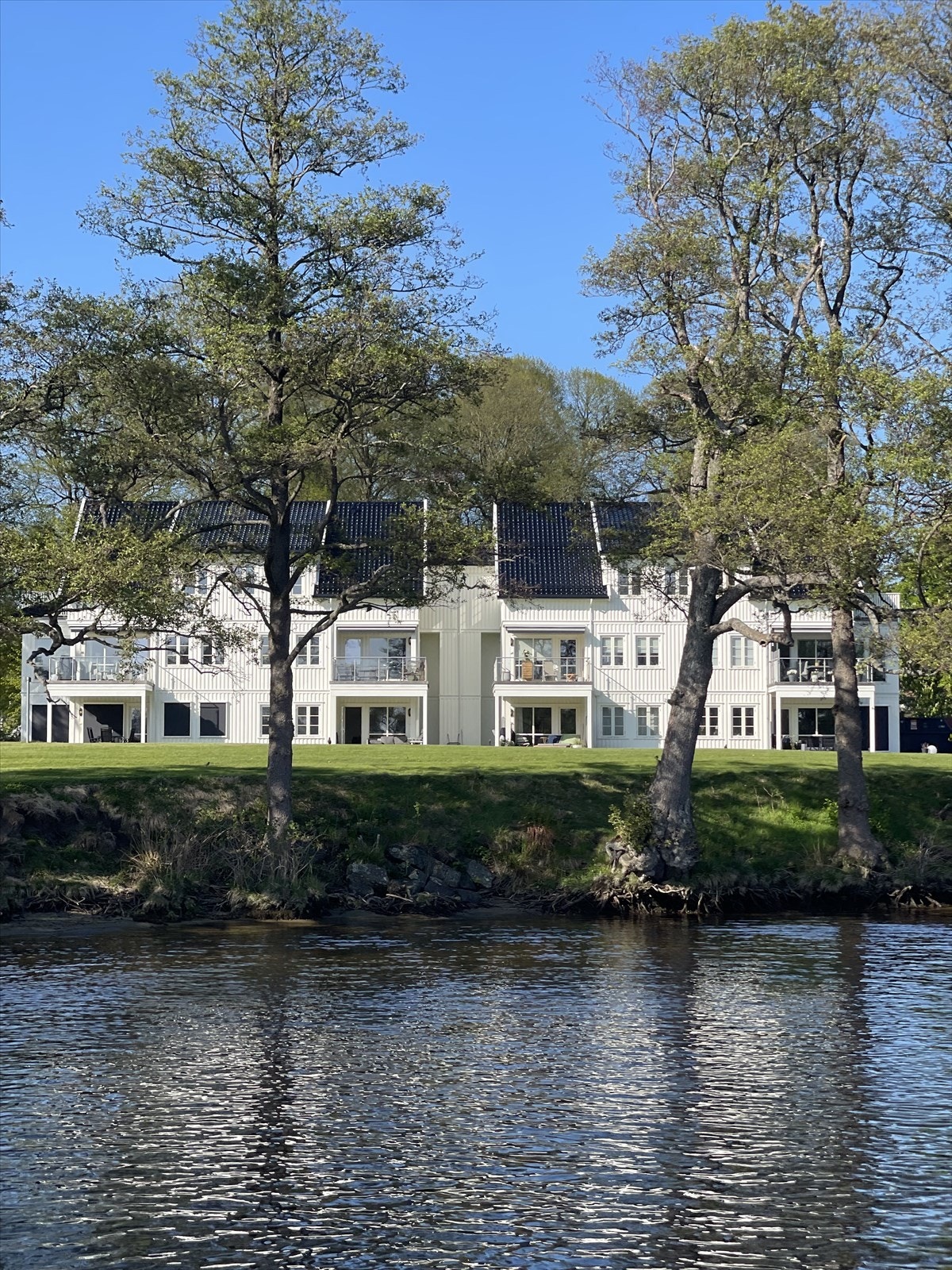 Privat bilde fra sommertid Galleribilde