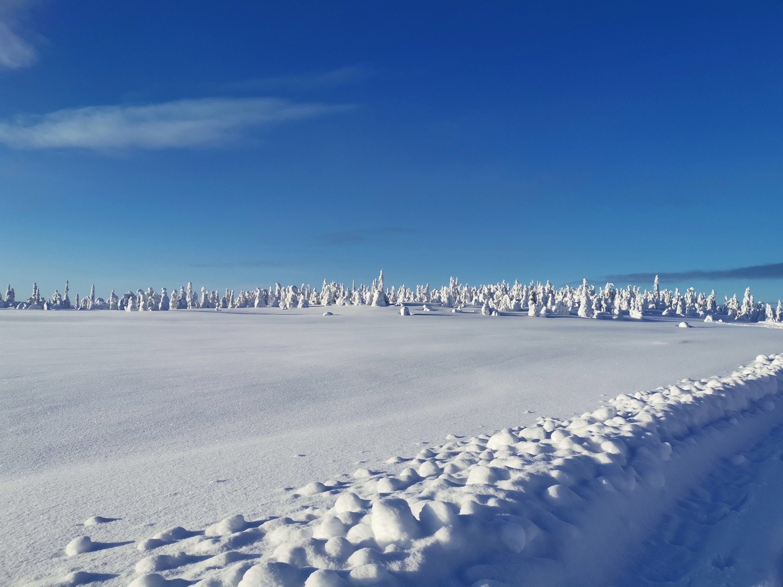 Her kan du legge ut på en skikkelig treningstur eller ta med de yngste på rolige små og lange skiturer for kos og hygge i flotte naturområder Galleribilde