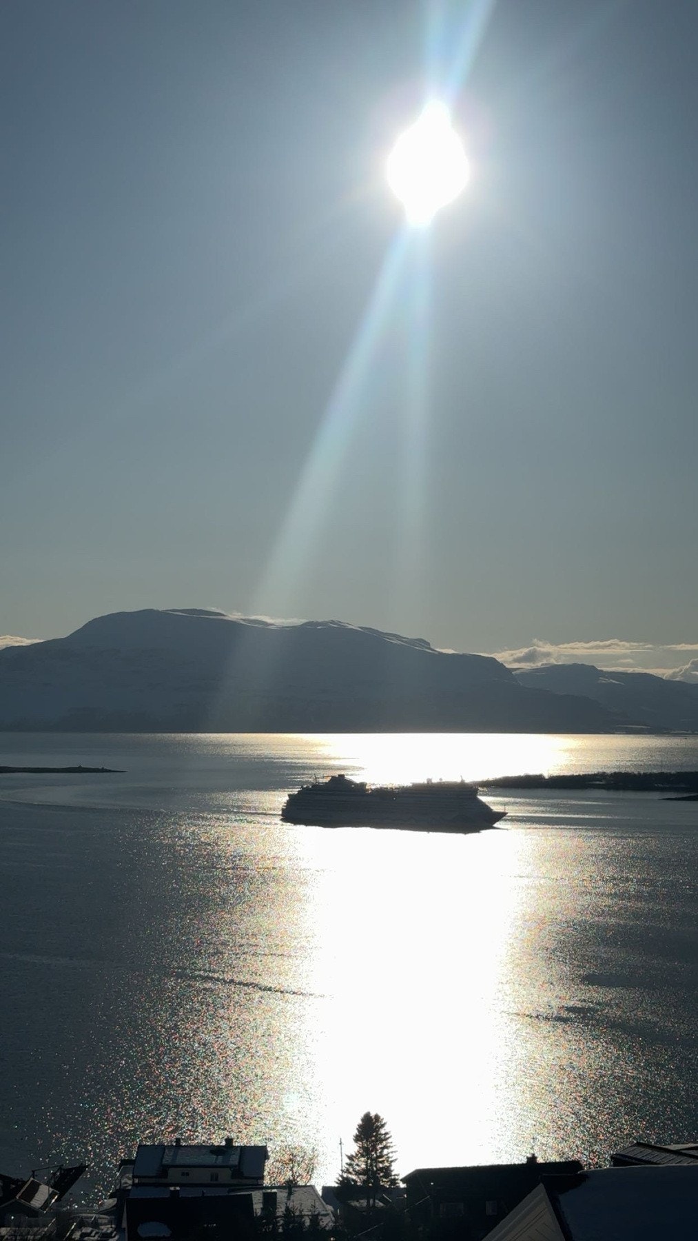 Selgers bilder Galleribilde