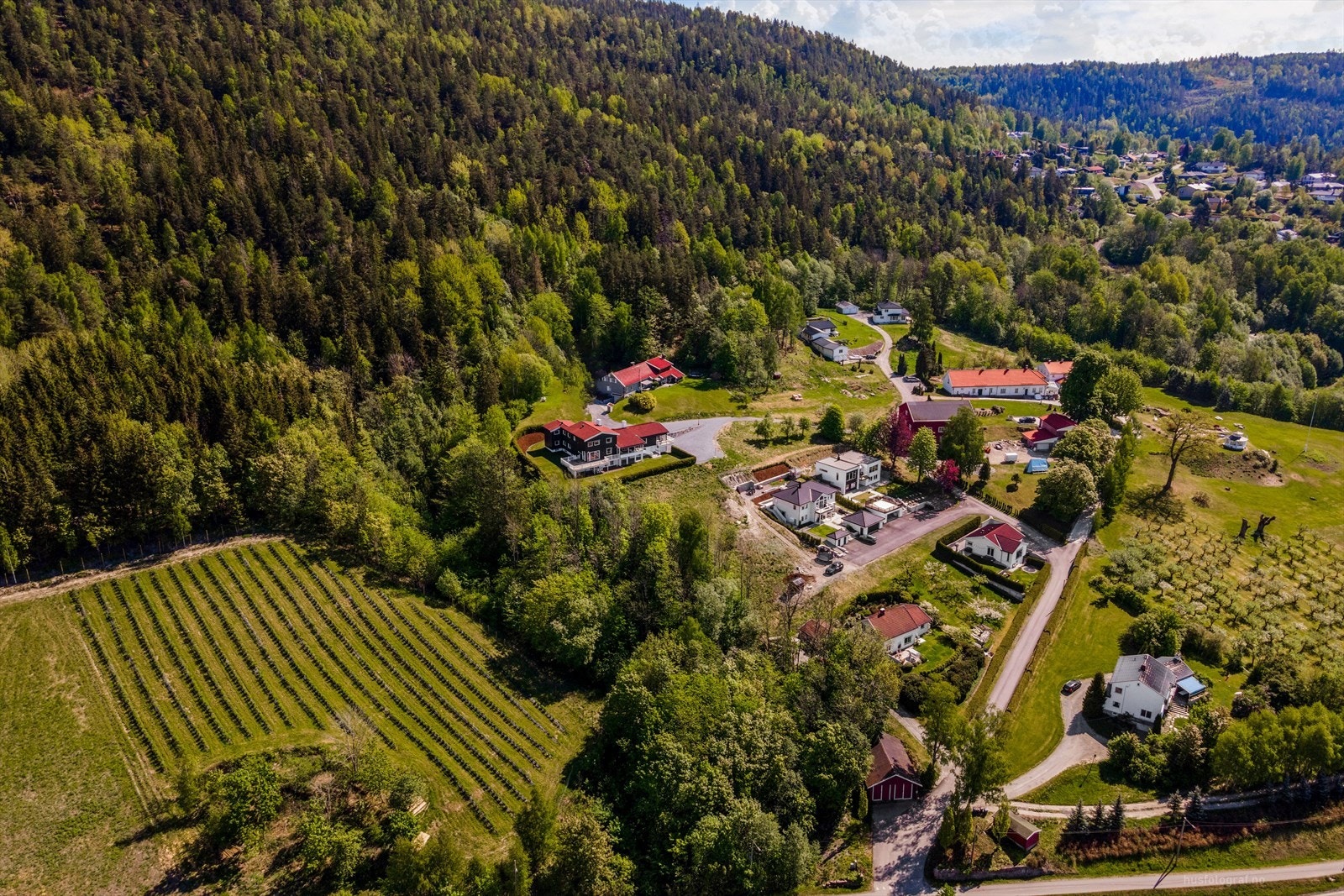 Tomten på sommerstid. Galleribilde