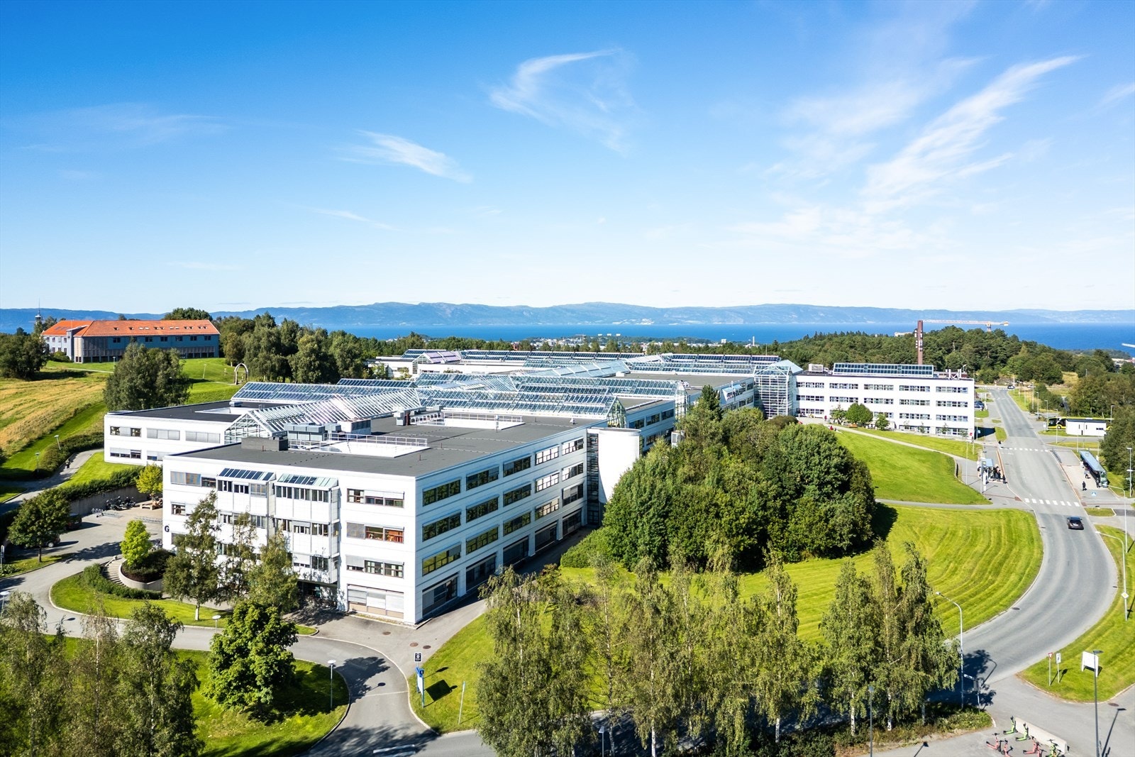 Korte avstander til Trondheims studiesteder som NTNU Gløshaugen og Dragvoll. Galleribilde