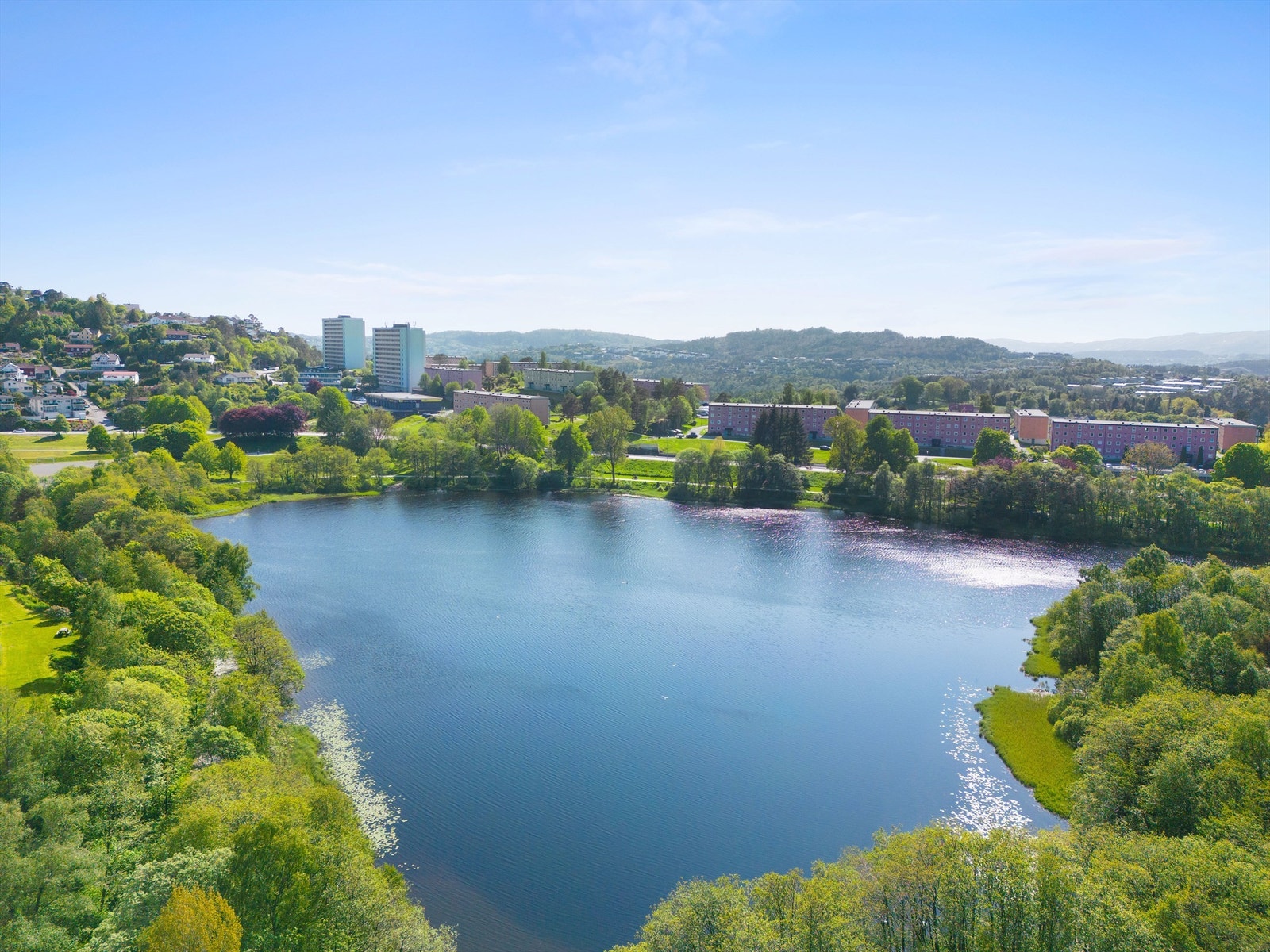 Ortuvannet Galleribilde