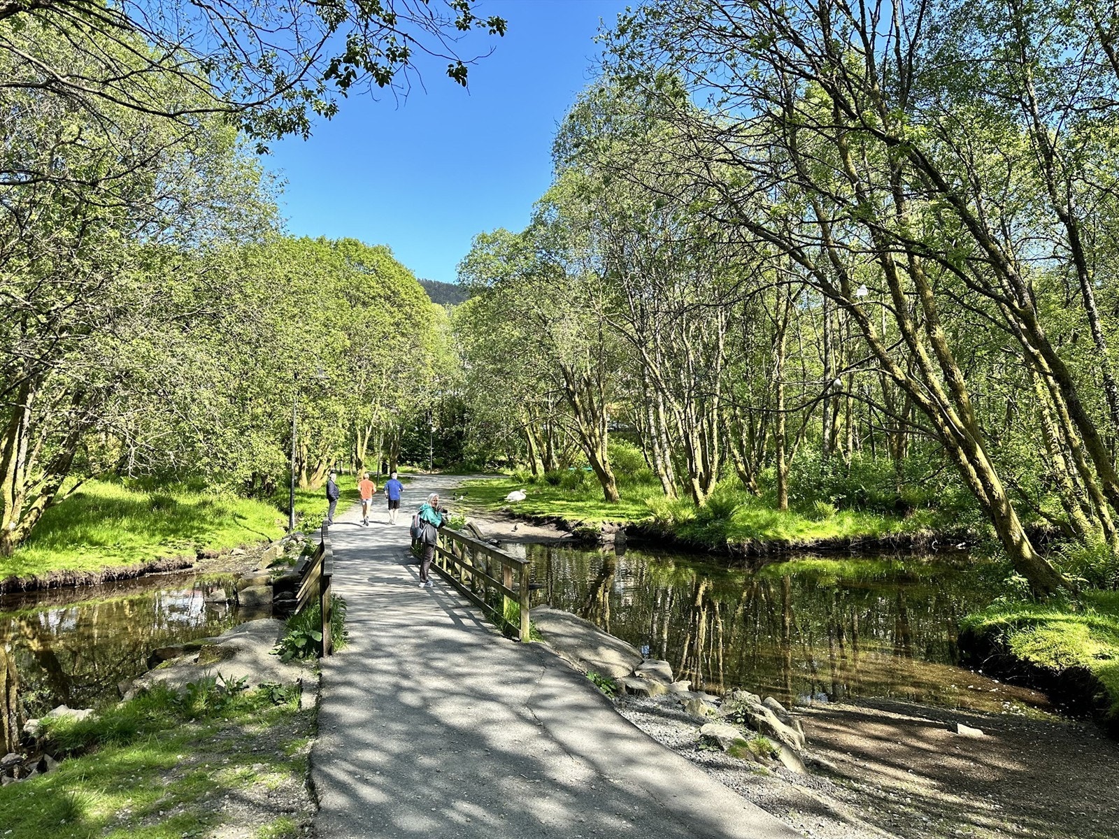 Like ved borettslaget finner du turstien rundt Ortuvannet, ideelt for daglig mosjon i flotte naturomgivelser. Galleribilde