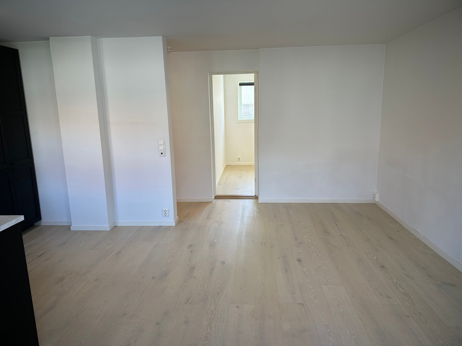 Stue vist umøblert Galleribilde