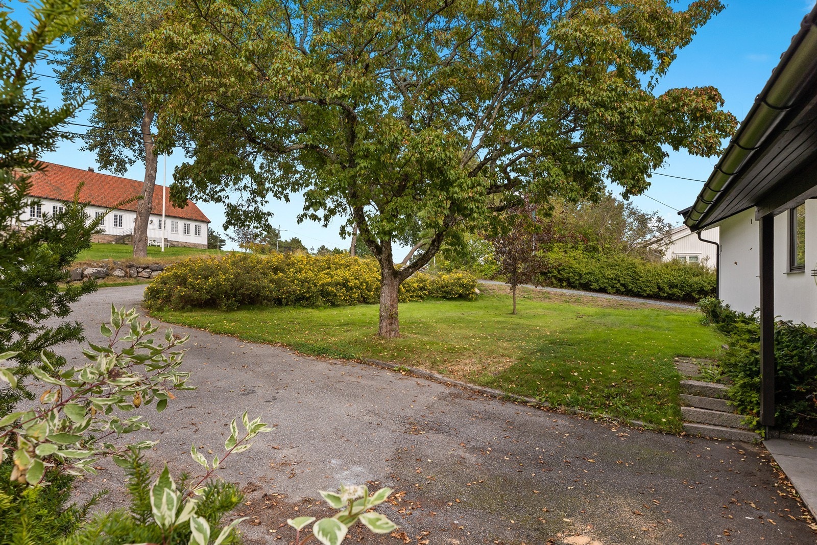 Tomten er pent opparbeidet med gressplen og beplantning Galleribilde