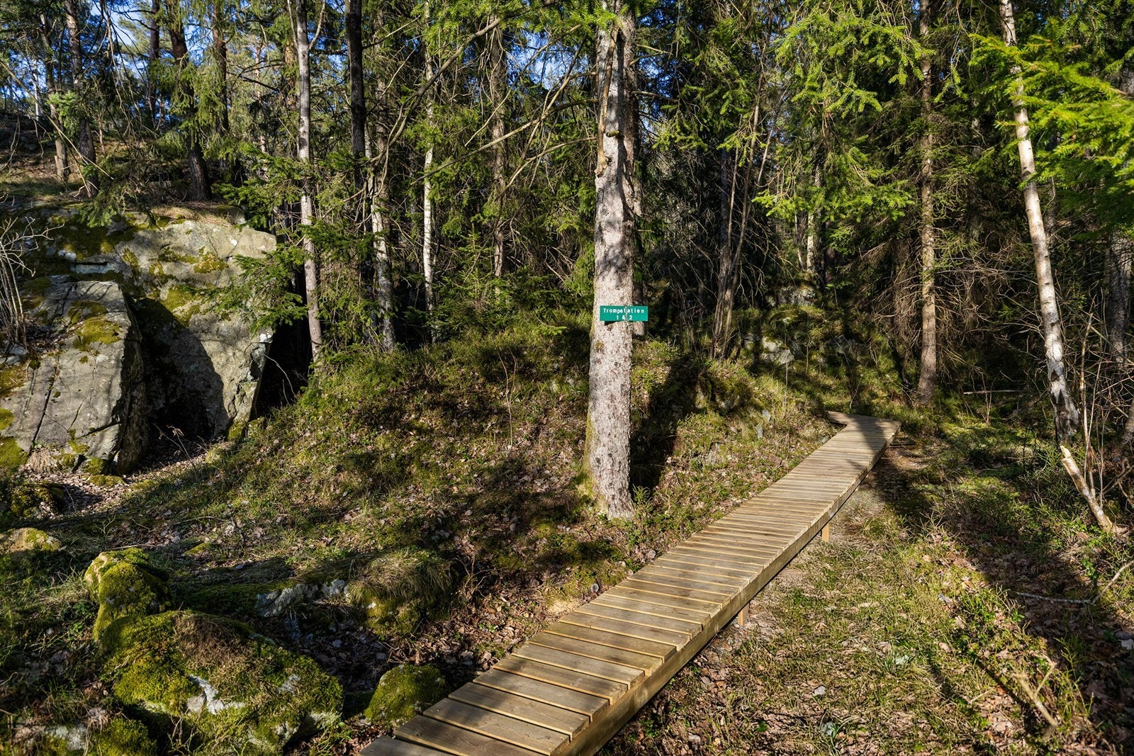 Det er laget fin gangsti opp til hytta. Galleribilde