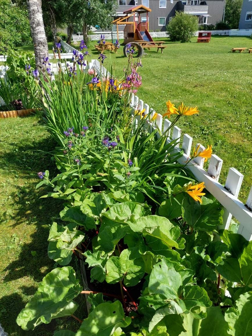 Selgers eget bilde fra hagen, som er særdeles pent beplantet Galleribilde