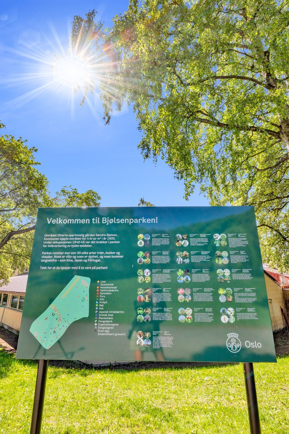 Bjølsenparken ligger i kort gangavstand fra leiligheten Galleribilde