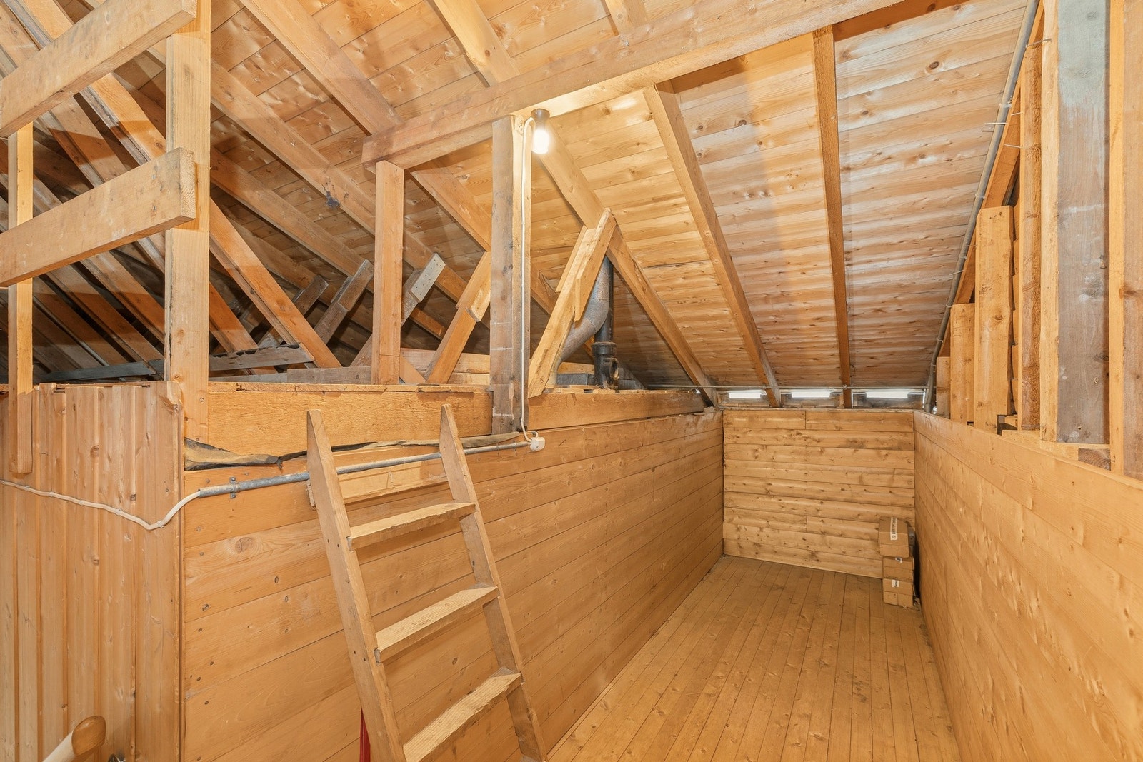 Kaldt lagringsloft. Galleribilde
