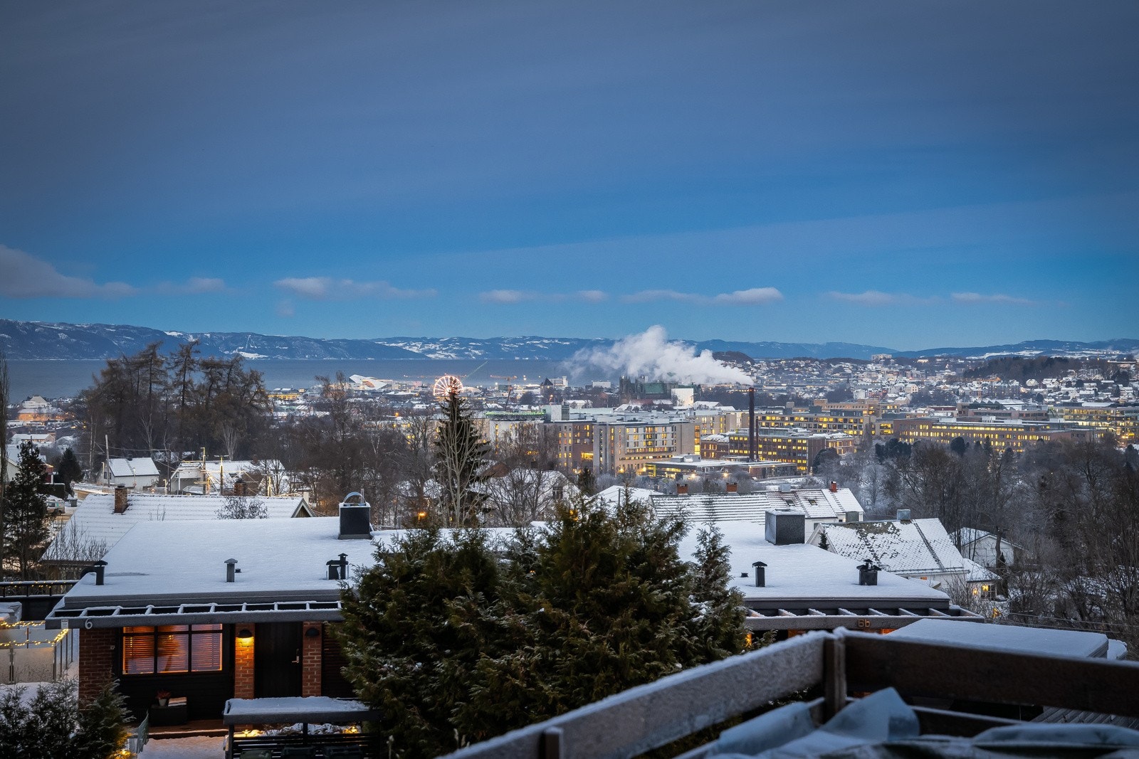 Utsikt. Galleribilde