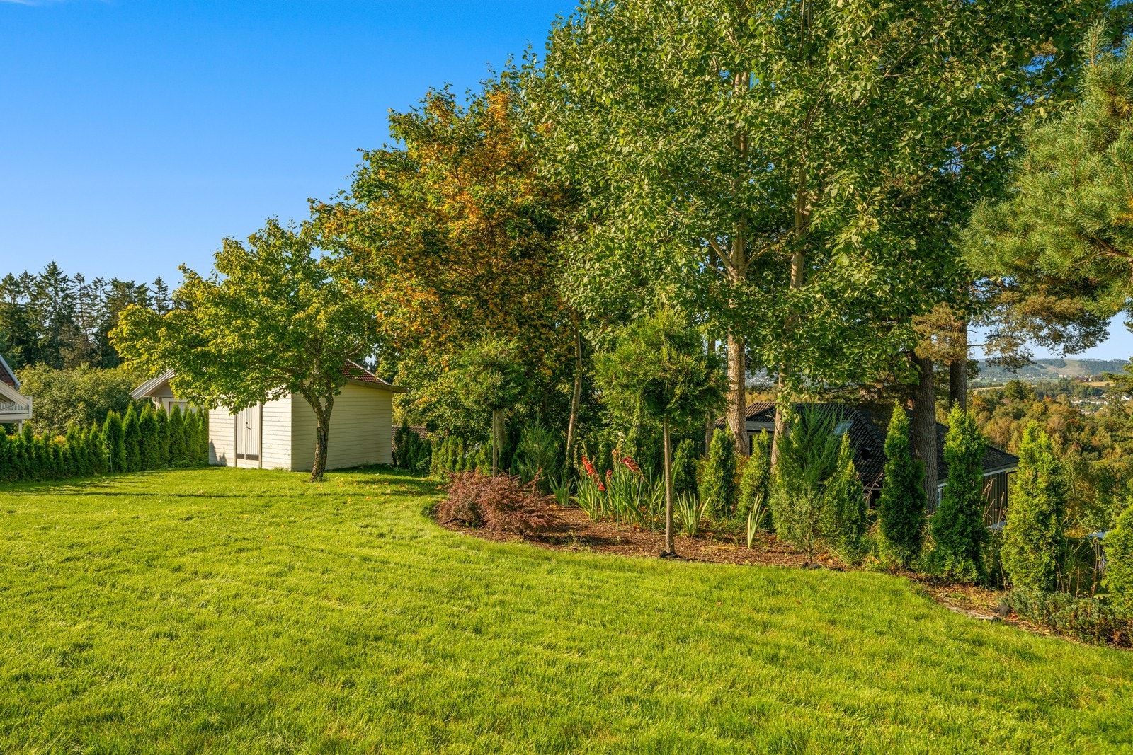 Stor plen som er pent opparbeidet plen med prydbusker og diverse beplantning. Galleribilde