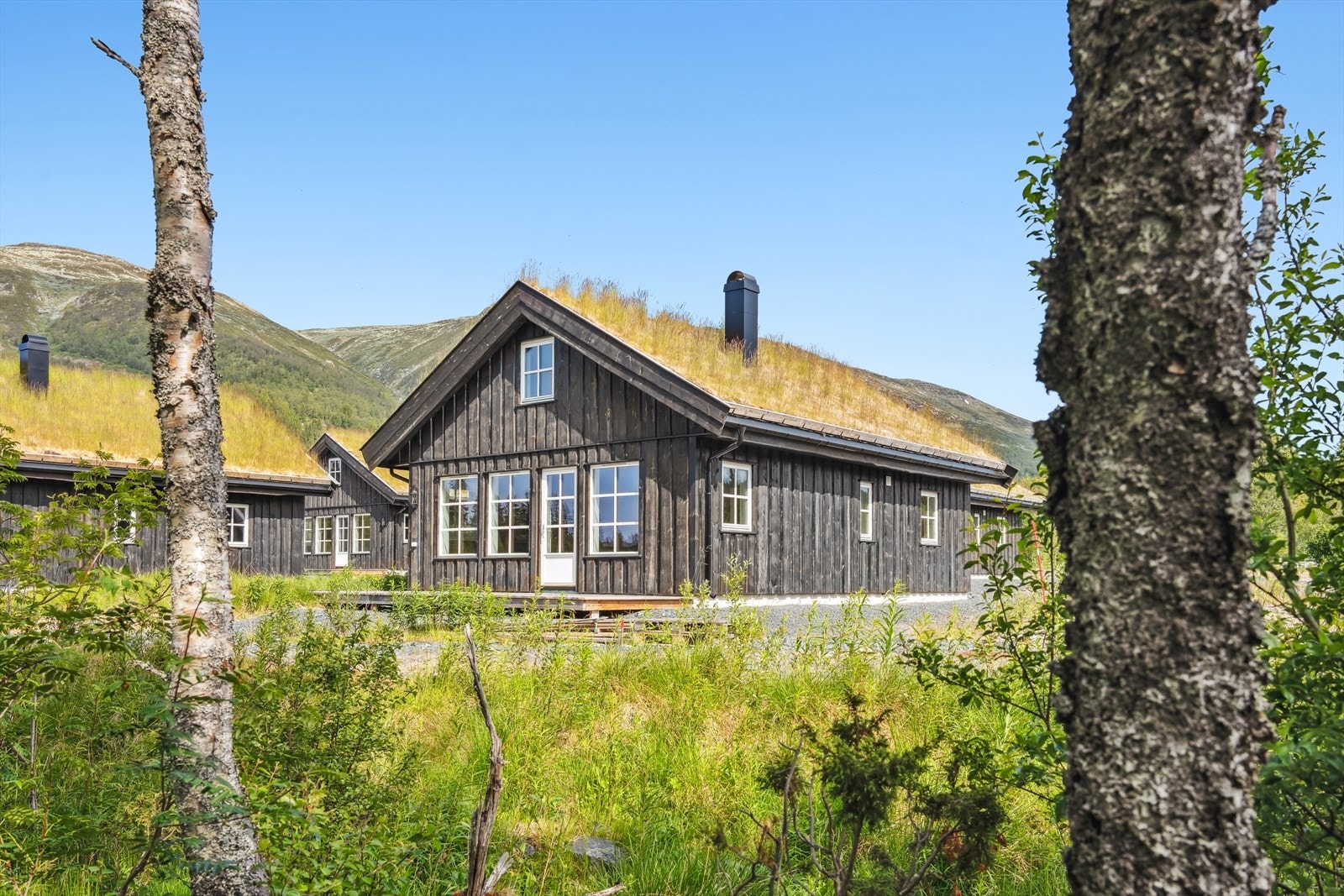 Velkommen til fjells! Galleribilde