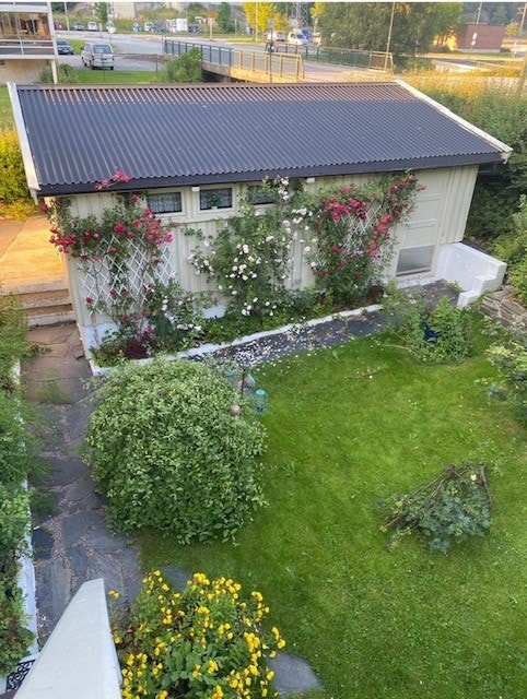 Sommerfoto fra selger Galleribilde