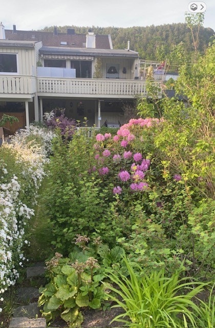 Sommerfoto fra selger Galleribilde