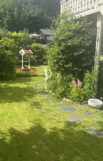 Sommerfoto fra selger Galleribilde