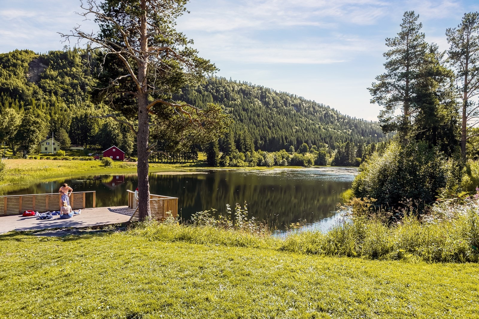 Her bor man landlig, men samtidig med kort vei til skole, barnehage og dagligvarebutikk. Kun 5 minutter gange til populære Nydammen. Galleribilde