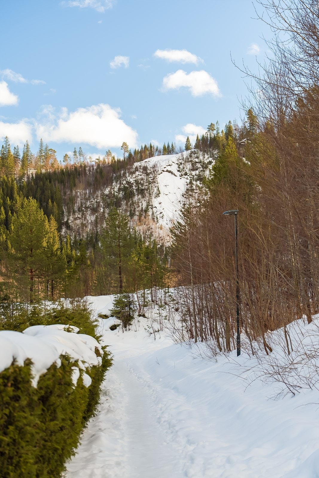 Fra boligen er det kort vei til flotte turmuligheter i skog og mark. Galleribilde